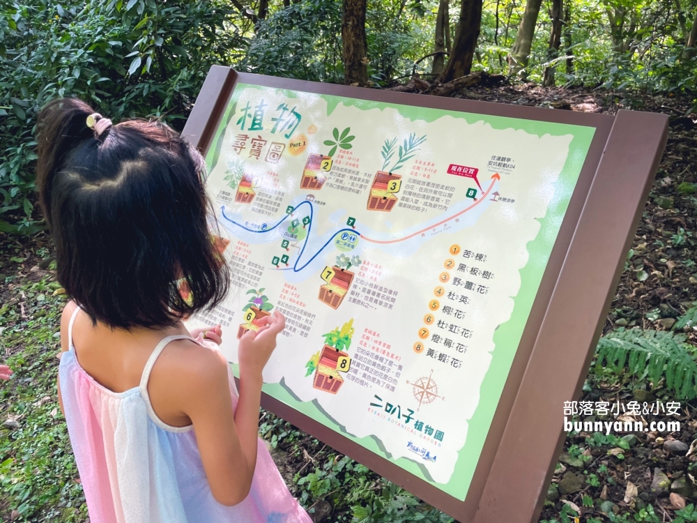 新店【二叭子植物園】讓你輕鬆漫步森林與綠谷之間
