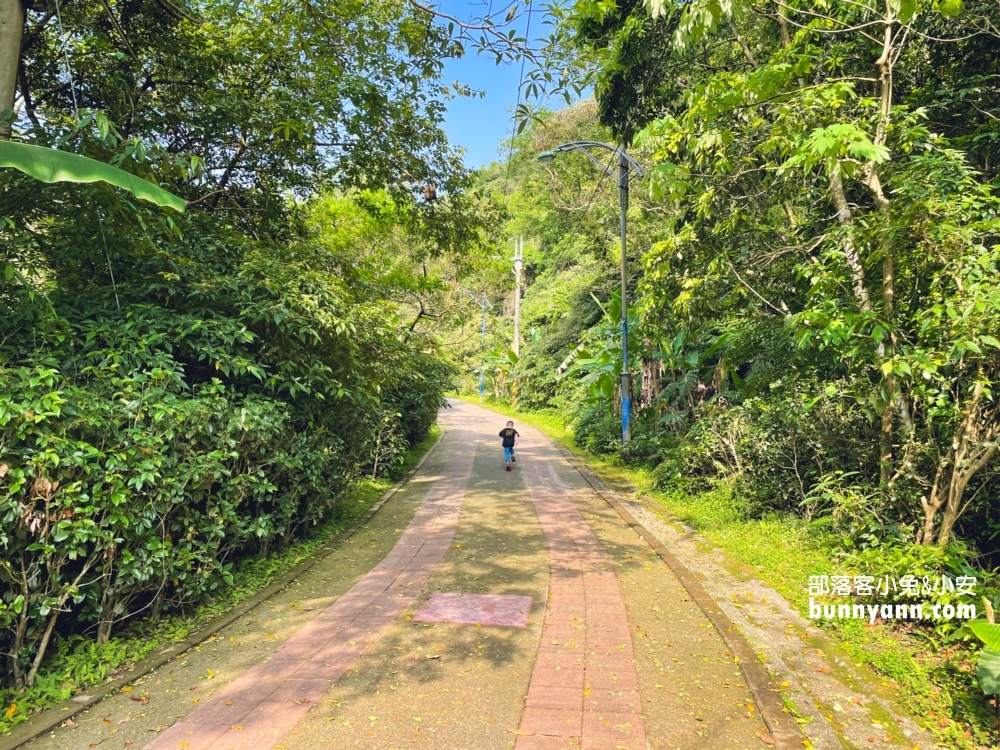 新店【二叭子植物園】讓你輕鬆漫步森林與綠谷之間