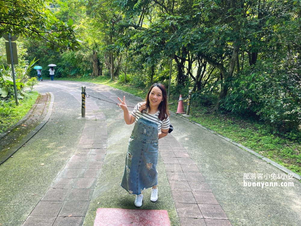 新店【二叭子植物園】讓你輕鬆漫步森林與綠谷之間