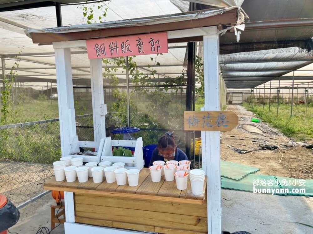 超好玩【鹿營親子農場】滑草、玩水、餵小鹿農場戶外放風半日遊