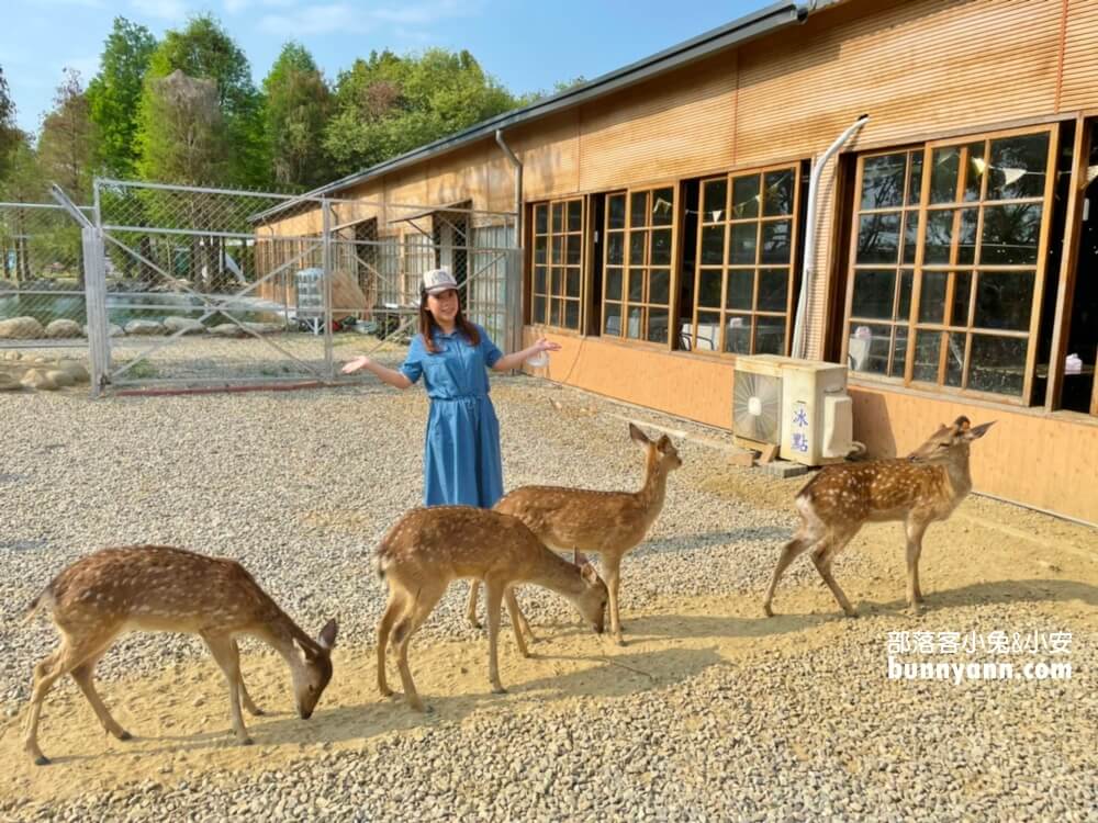 超好玩【鹿營親子農場】滑草、玩水、餵小鹿農場戶外放風半日遊