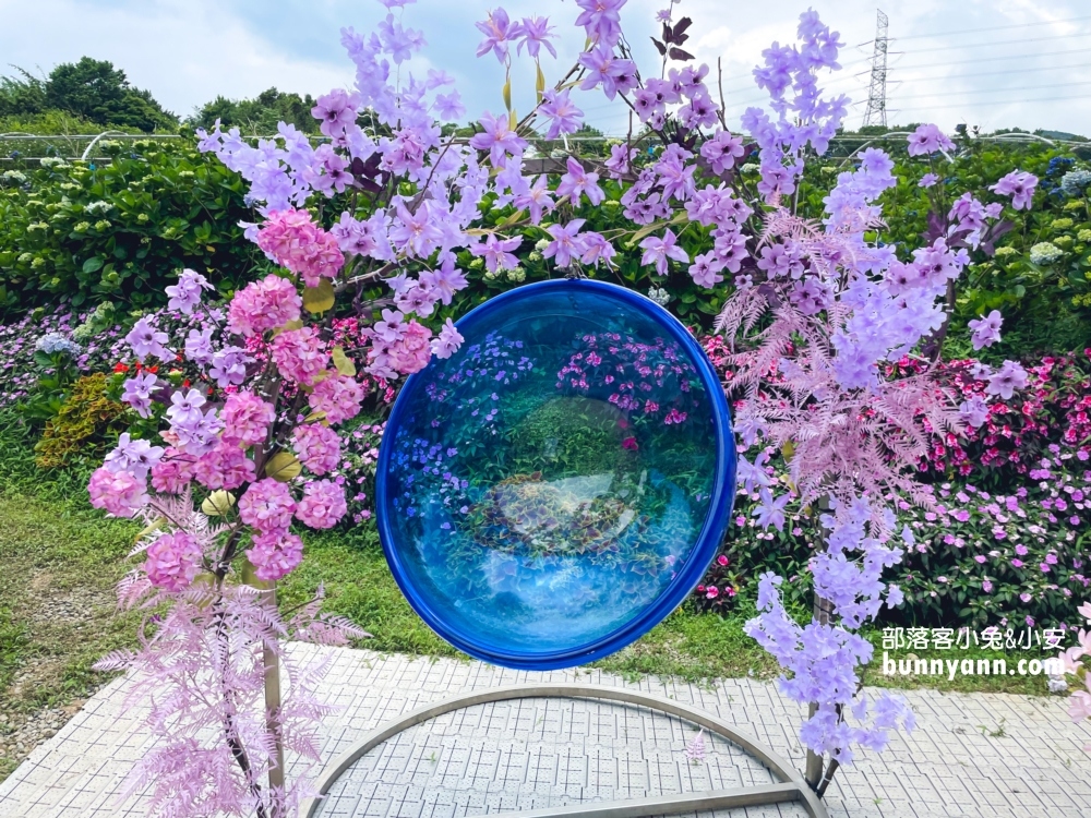 賞花推薦！高家繡球花田萬里第三園區，千坪夢幻花海等你來拍照