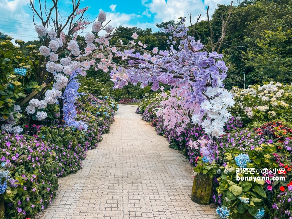 賞花推薦！高家繡球花田萬里第三園區，千坪夢幻花海等你來拍照