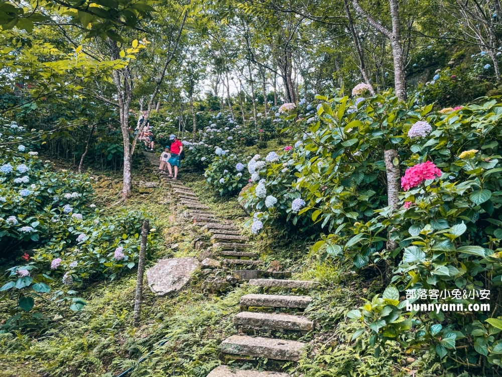【苗栗南庄】碧絡角花園咖啡，一年四季都能來的美境