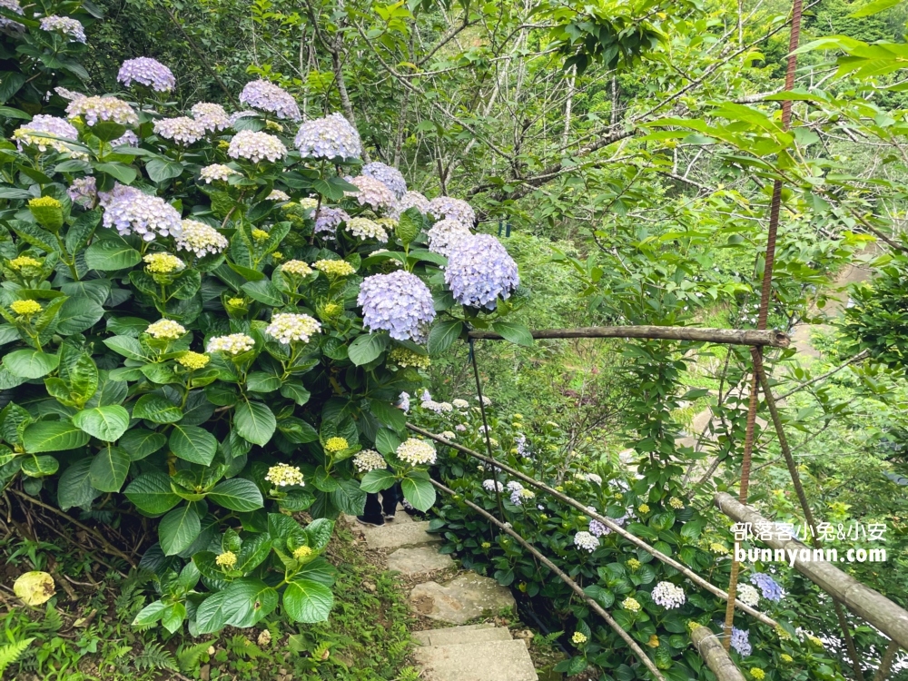 【苗栗南庄】碧絡角花園咖啡，一年四季都能來的美境