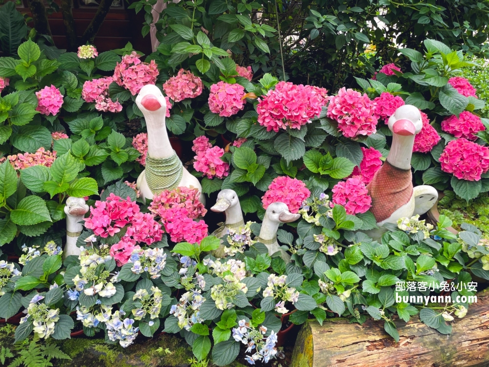 【苗栗南庄】碧絡角花園咖啡，一年四季都能來的美境