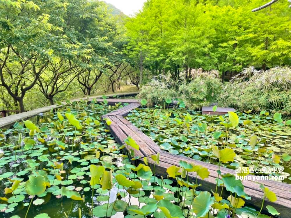 台北【真愛桃花源庭園餐廳】唯美歌德式教堂與莊園一日遊這樣玩