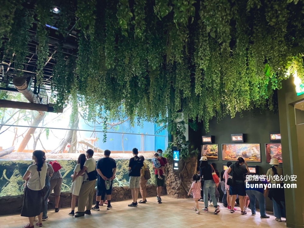 Xpark水族館雨林探險區