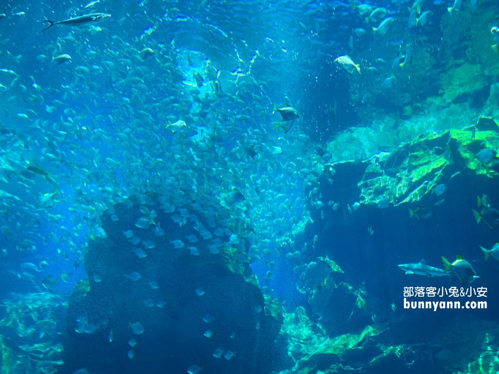 Xpark水族館福爾摩沙區