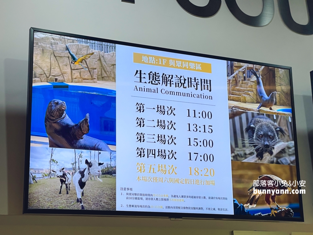Xpark生態解說時間