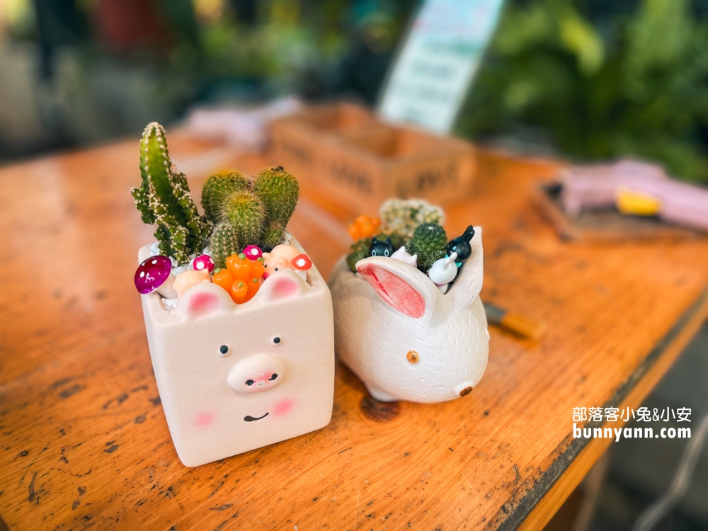 2025南投多肉秘境福興店，最新門票和DIY價錢整理攻略!!