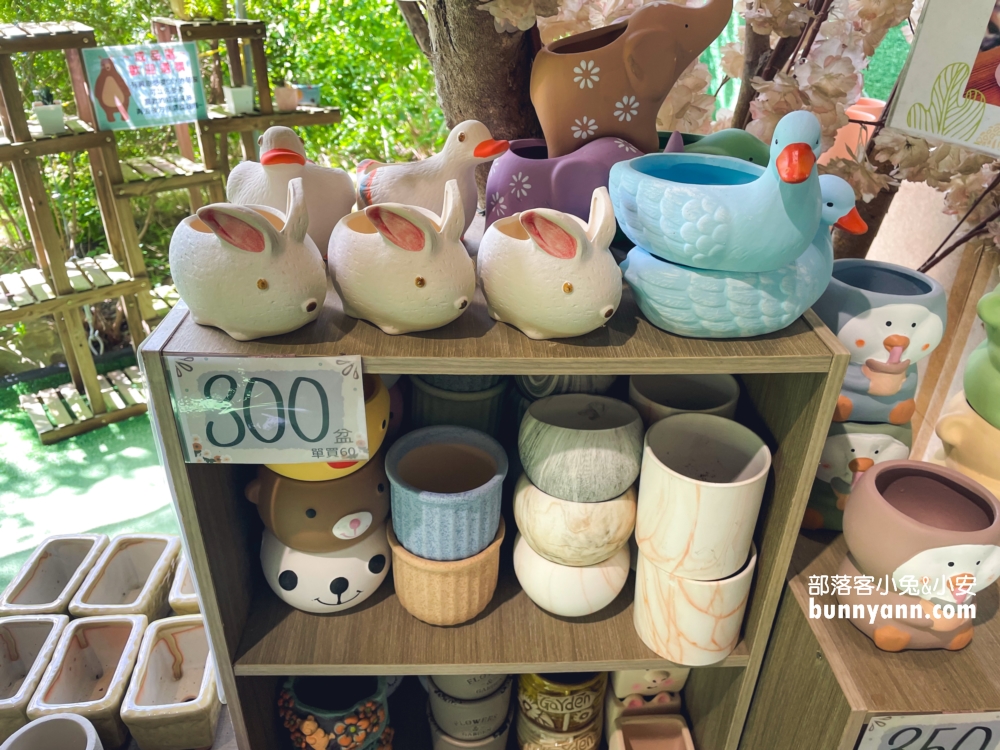 2025南投多肉秘境福興店，最新門票和DIY價錢整理攻略!!