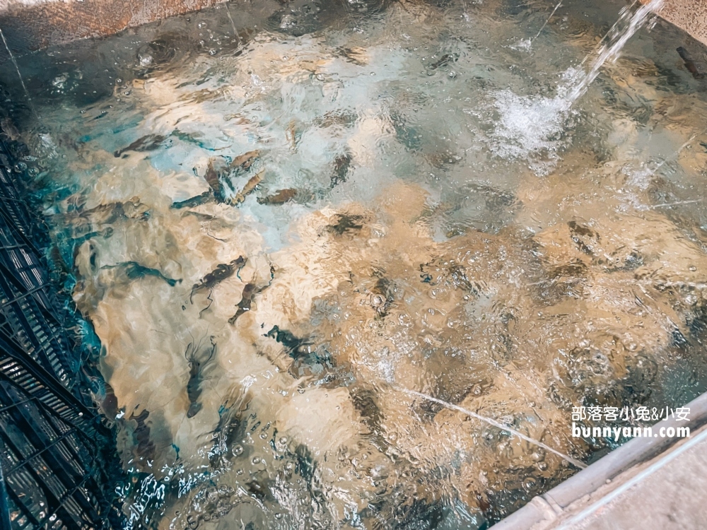 南投草屯烤蚵199吃到飽的「方舟水產」熱情開烤中(菜單)