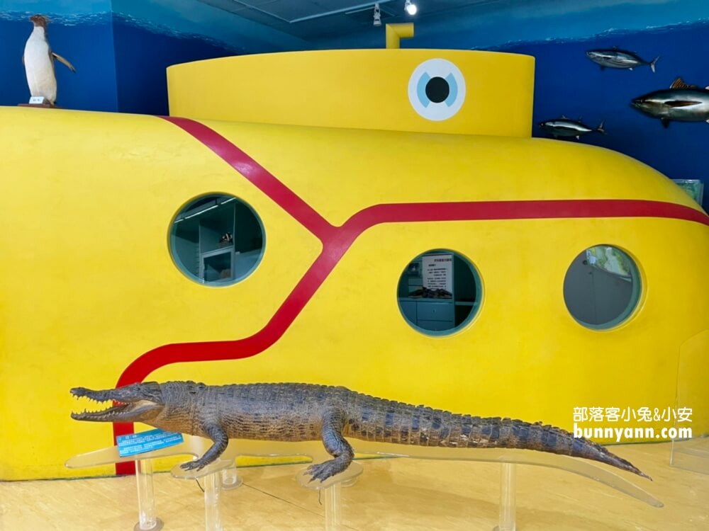 【台中科博館】國立自然科學博物館，館內有大恐龍可以拍照！
