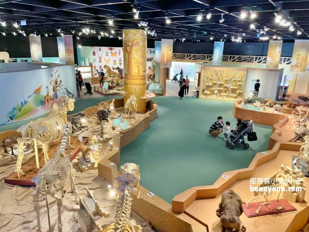 【台中科博館】國立自然科學博物館，館內有大恐龍可以拍照！