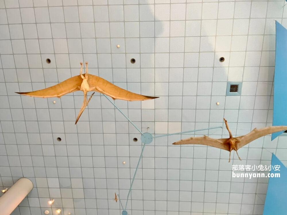 【台中科博館】國立自然科學博物館，館內有大恐龍可以拍照！
