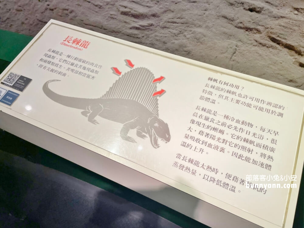 【台中科博館】國立自然科學博物館，館內有大恐龍可以拍照！