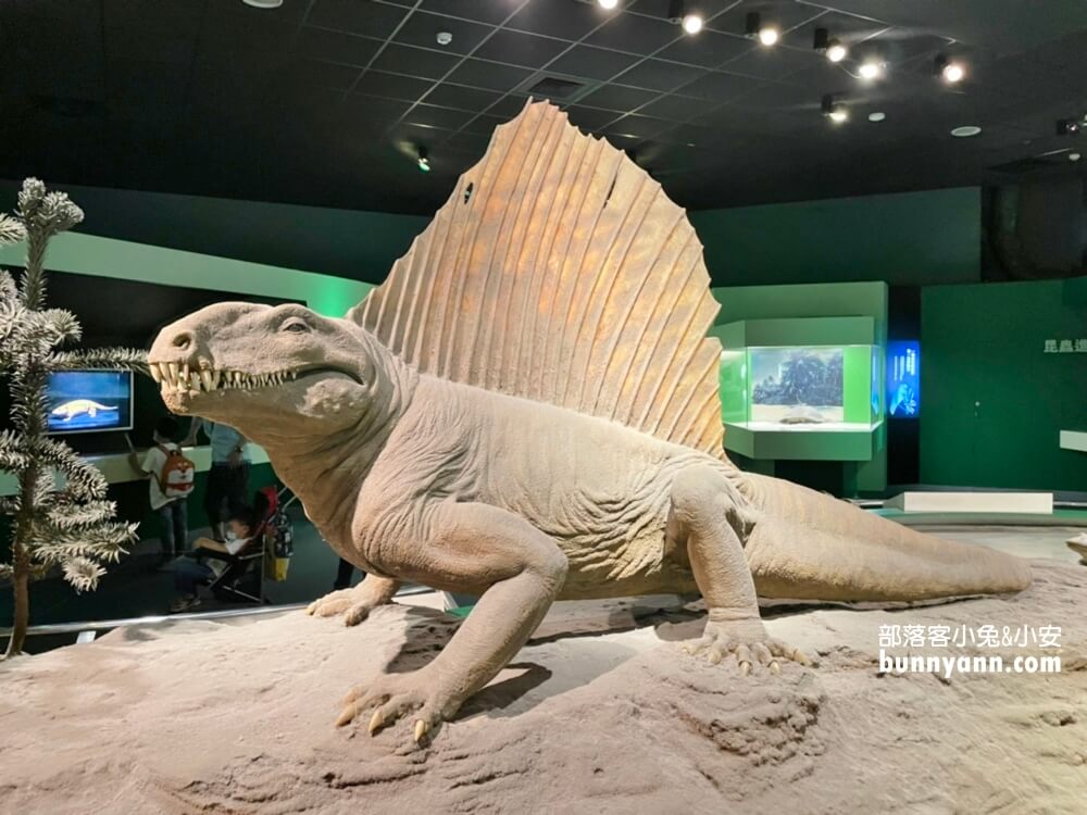 【台中科博館】國立自然科學博物館，館內有大恐龍可以拍照！