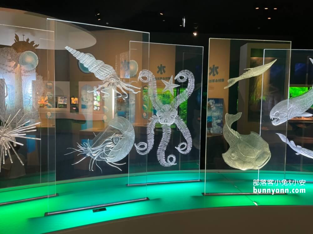 【台中科博館】國立自然科學博物館，館內有大恐龍可以拍照！