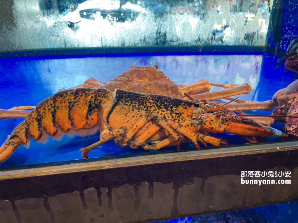 台中大墩路台南擔仔麵｜中部好吃的海鮮餐廳霸主!!