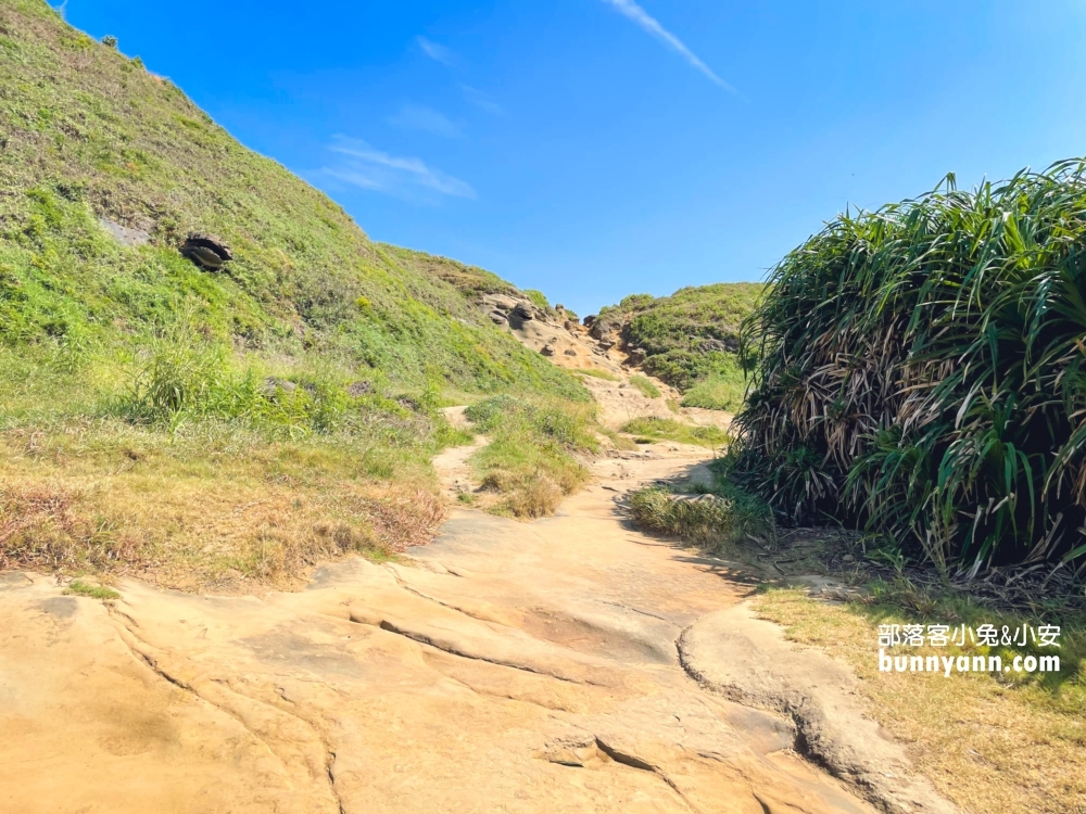 新北瑞芳象鼻岩奇景，深海古代巨象，停車資訊與路線