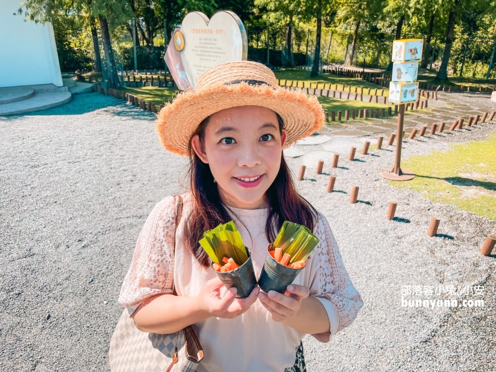 宜蘭冬山小奈良【斑比山丘】梅花鹿園門票資訊與優惠懶人包