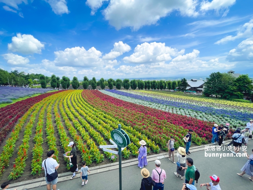 北海道富田農場