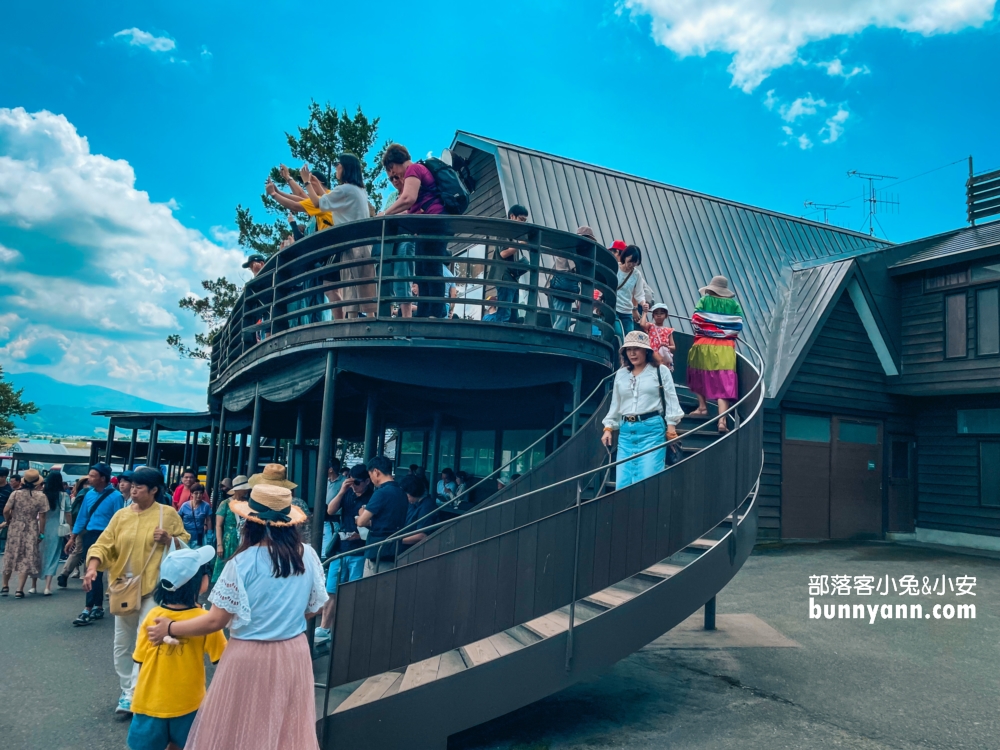 北海道富田農場