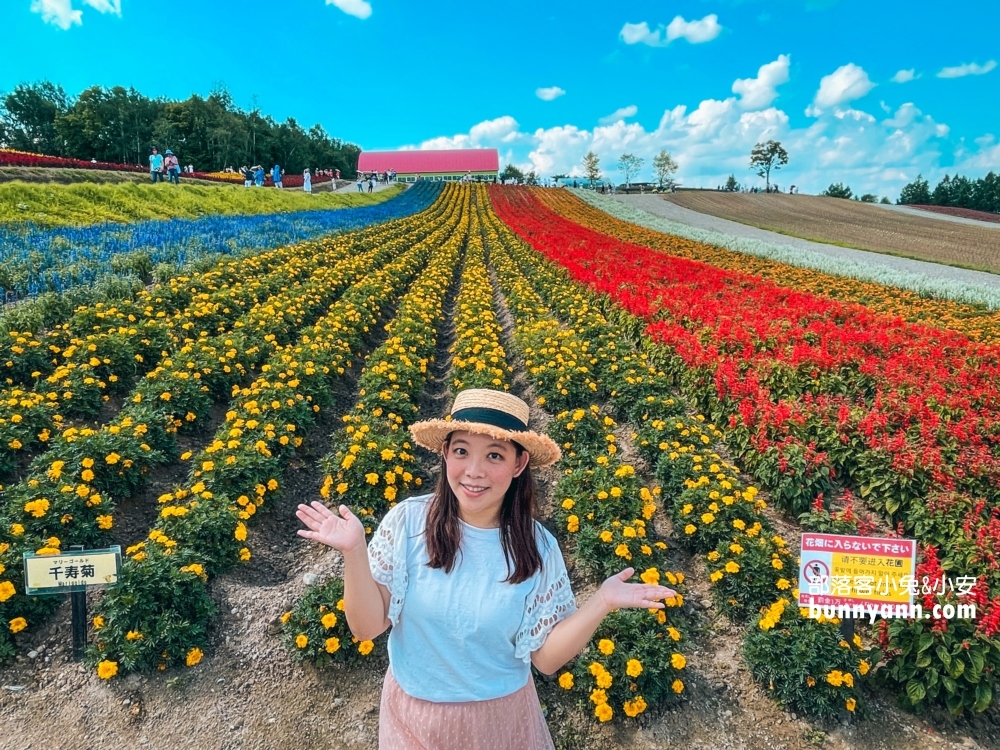 美瑛景點推薦四季彩之丘最佳賞花期與遊園車介紹!!