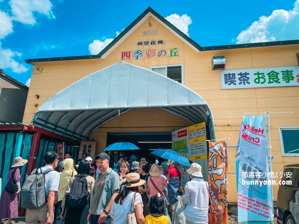 美瑛景點推薦四季彩之丘最佳賞花期與遊園車介紹!!