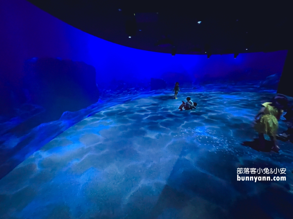札幌水族館【AOAO SAPPORO】近距離看企鵝，還有超美城市夜景(票價)