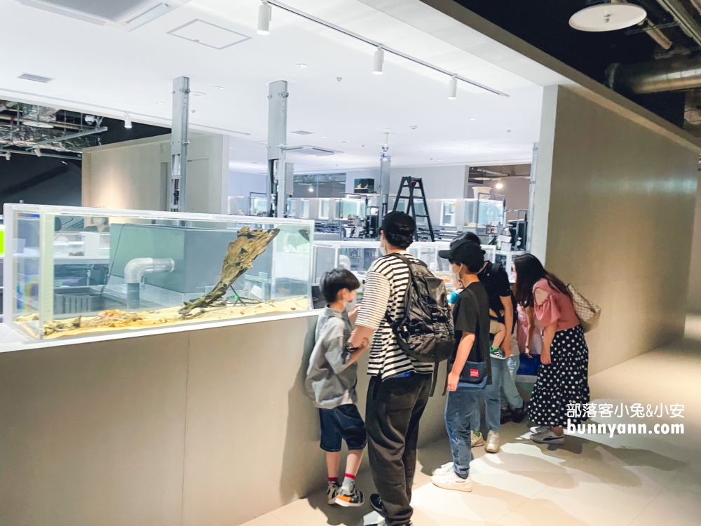 札幌水族館【AOAO SAPPORO】近距離看企鵝，還有超美城市夜景(票價)