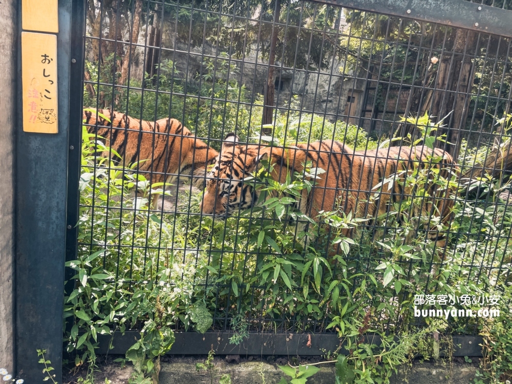 旭山動物園