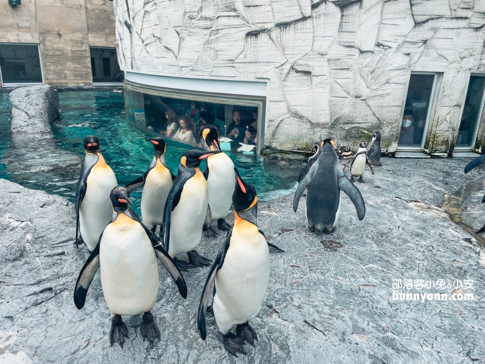 旭山動物園