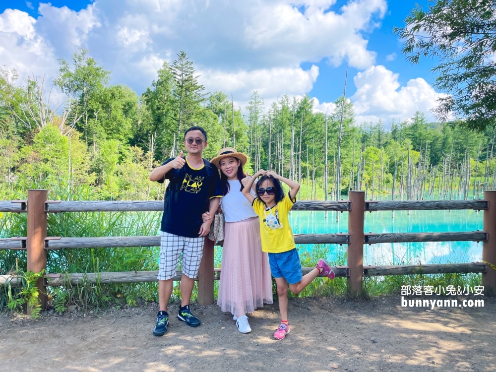 美瑛【白金青池】也太美了，獨家私房欣賞地點分享給你。