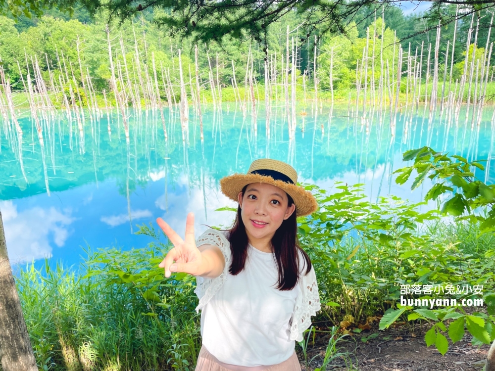 美瑛【白金青池】也太美了，獨家私房欣賞地點分享給你。