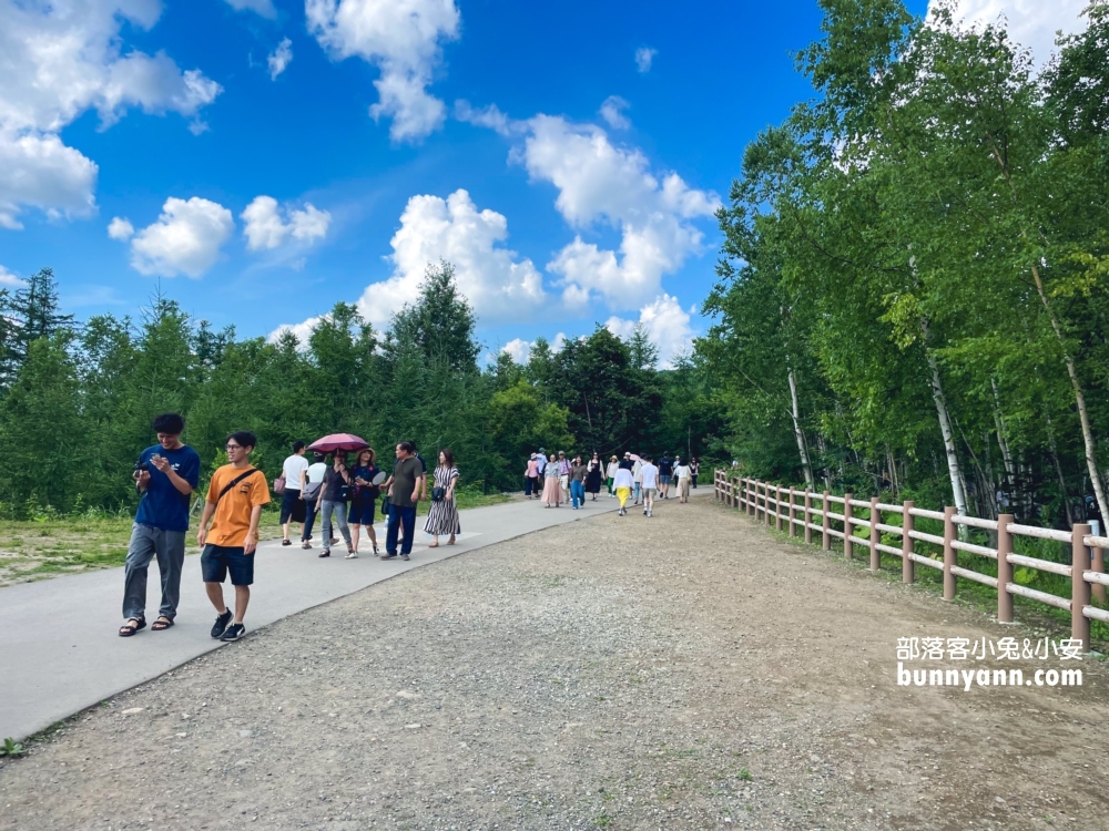 美瑛【白金青池】也太美了，獨家私房欣賞地點分享給你。