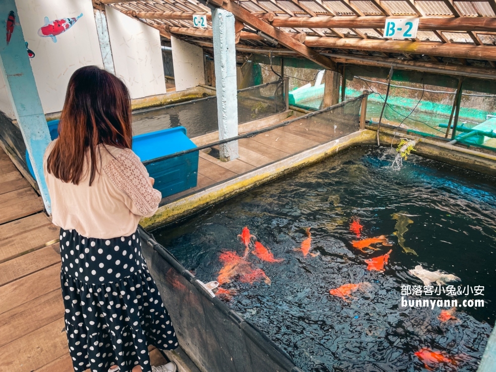 繞山花多肉秘境「桃園三和青創基地」擁有無限多的多肉植栽可以買回家