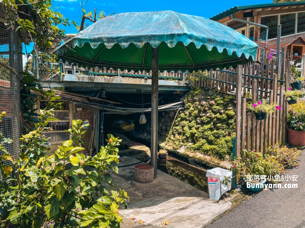 繞山花多肉秘境「桃園三和青創基地」擁有無限多的多肉植栽可以買回家