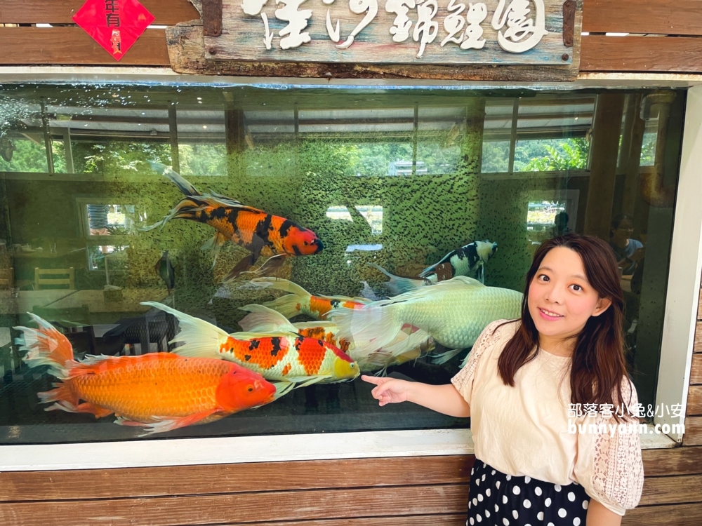繞山花多肉秘境「桃園三和青創基地」擁有無限多的多肉植栽可以買回家
