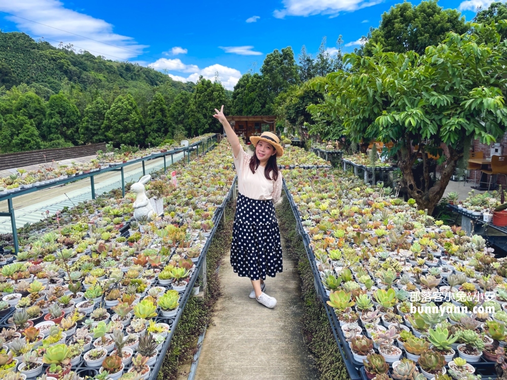 繞山花｜桃園三和青創基地多肉秘境，親水、好吃餐點、DIY盆栽真好玩
