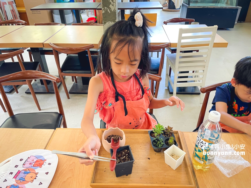 繞山花多肉秘境「桃園三和青創基地」擁有無限多的多肉植栽可以買回家