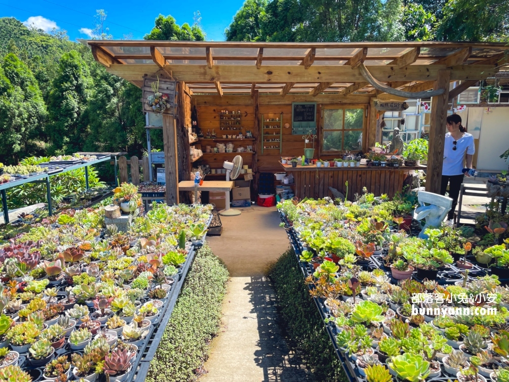 繞山花多肉秘境「桃園三和青創基地」擁有無限多的多肉植栽可以買回家