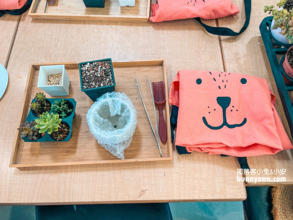 繞山花｜桃園三和青創基地多肉秘境，親水、好吃餐點、DIY盆栽真好玩