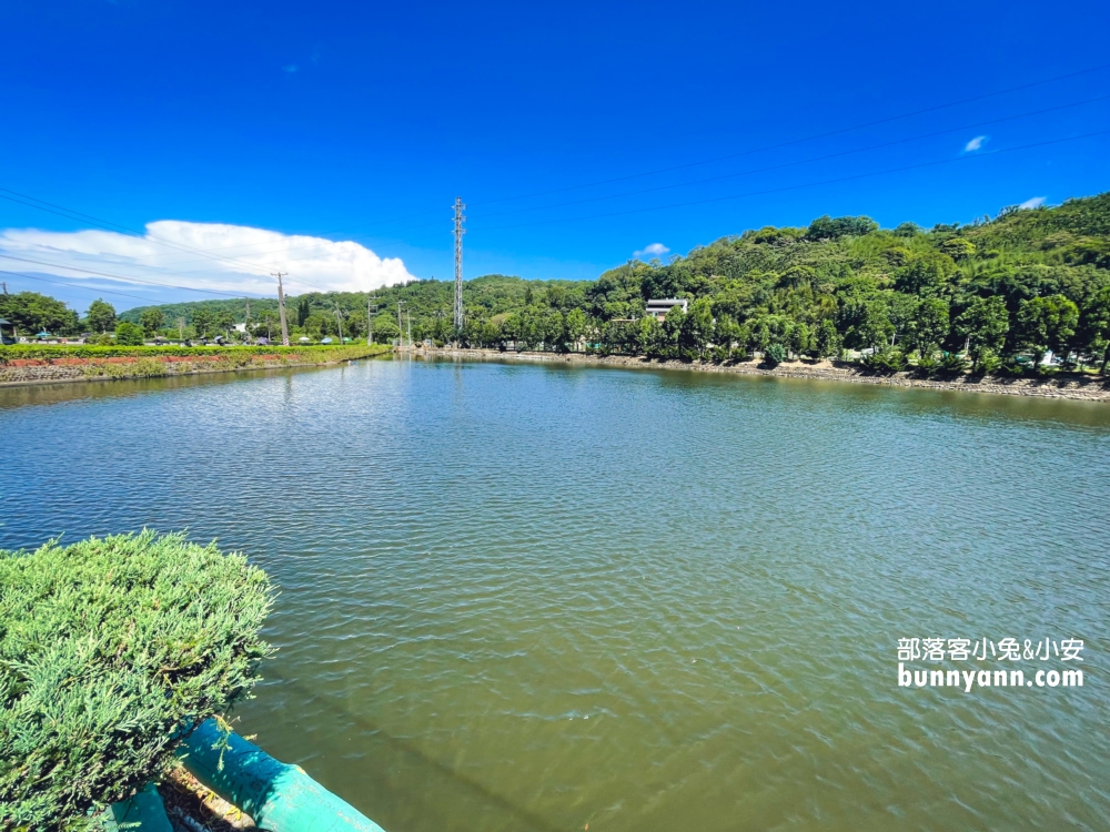 繞山花多肉秘境「桃園三和青創基地」擁有無限多的多肉植栽可以買回家