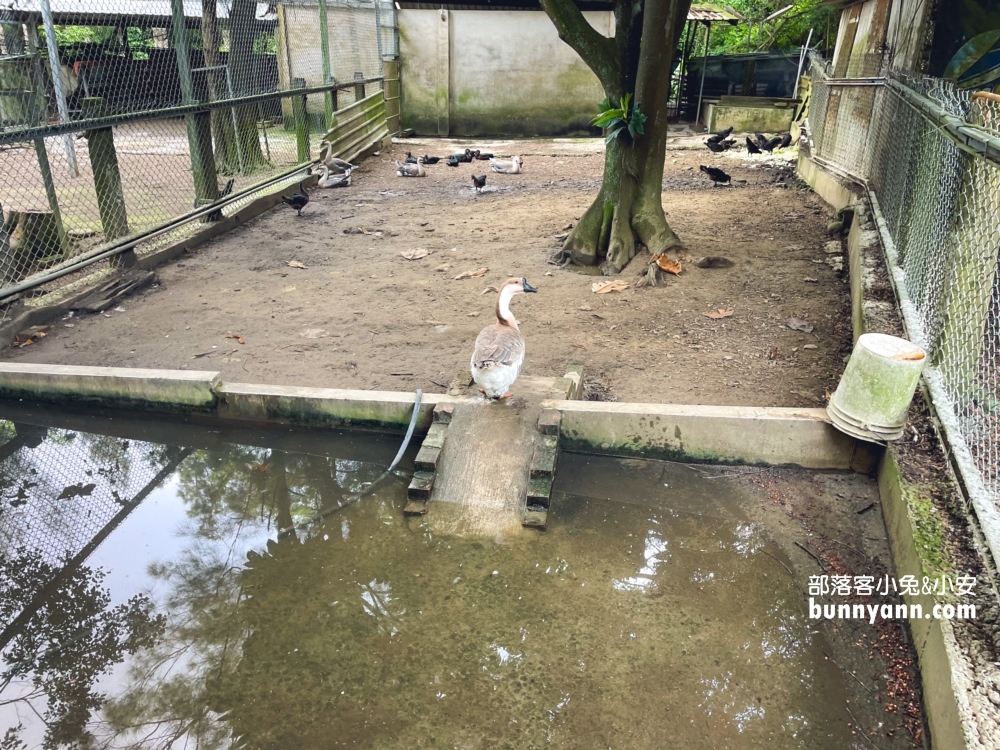 苗栗【台灣水牛城】提供350元火鍋與烤肉吃到飽，CP值相當高。