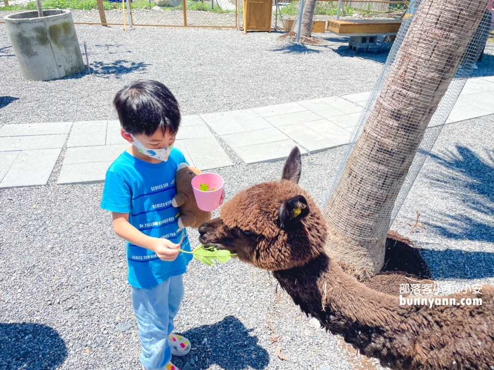 宜蘭【星夢森林劇場】來找可愛水豚君跟毛茸茸兔兔互動