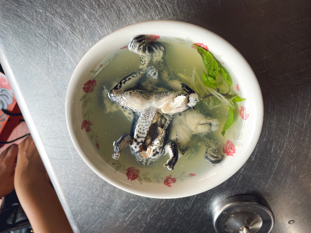 雲林【圓環紅燒青蛙湯】小鎮內專賣田蛙湯的路邊小吃店