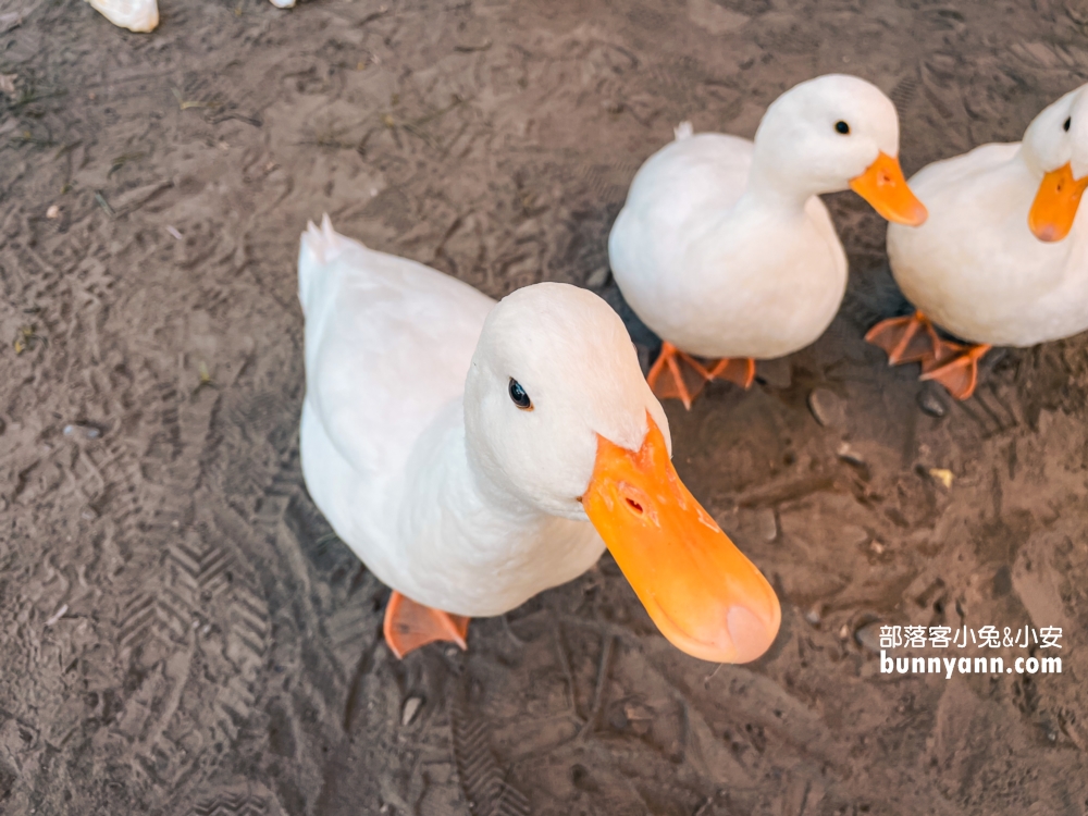 慢吞吞農場