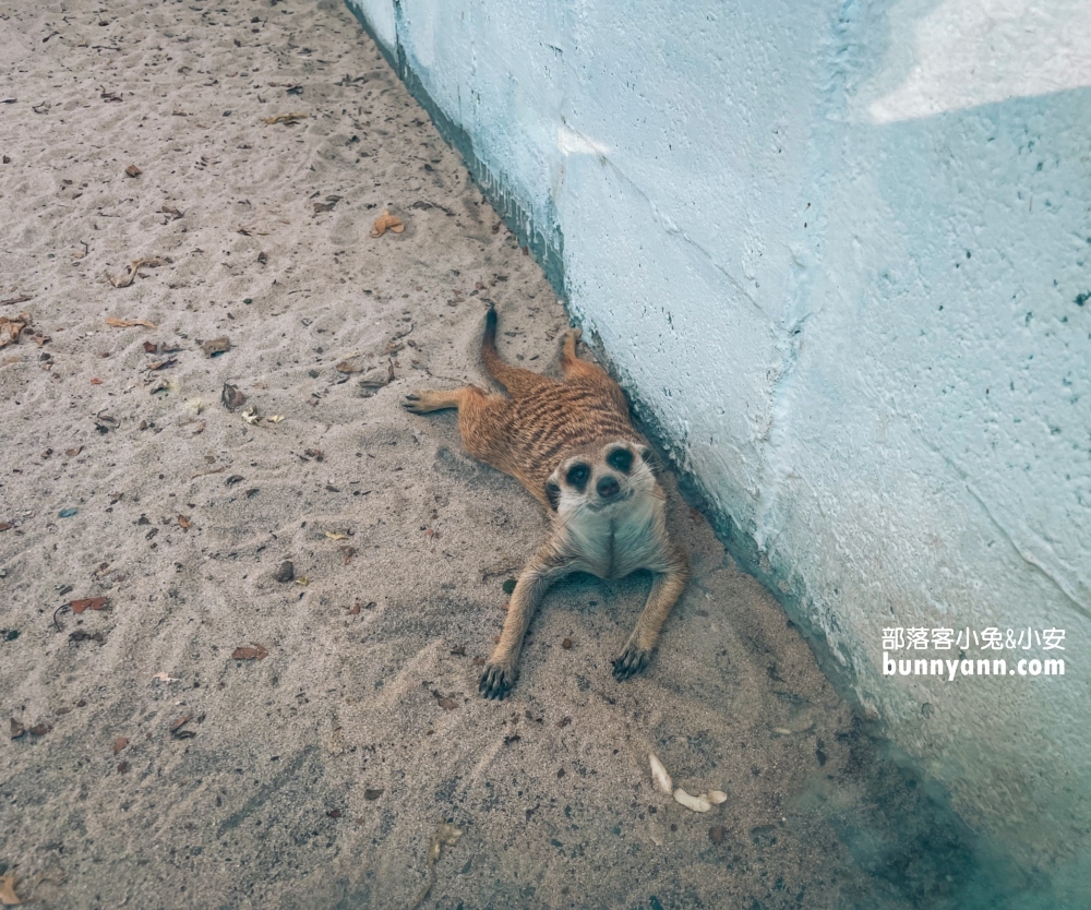 慢吞吞農場